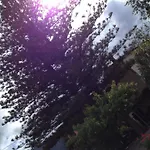 Casa Lupi Ξενοδοχείο 2*